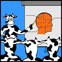 Cow Education